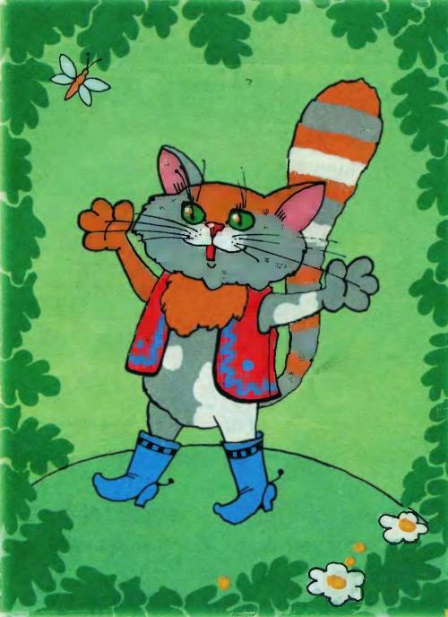 Котик - золотой лобик - 11