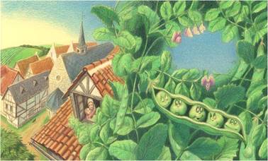 Пятеро из одного стручка