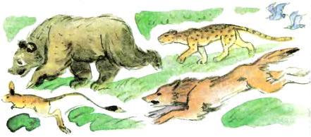 Тайна заброшенного замка. Александр Волков