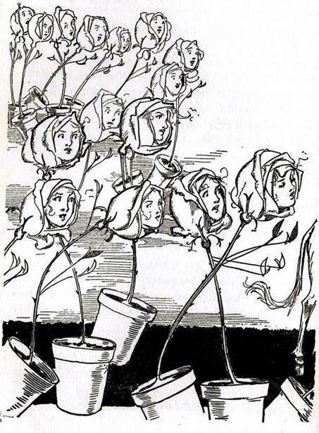 Тик-Ток из Страны Оз. Путешественники пускаются на поиски