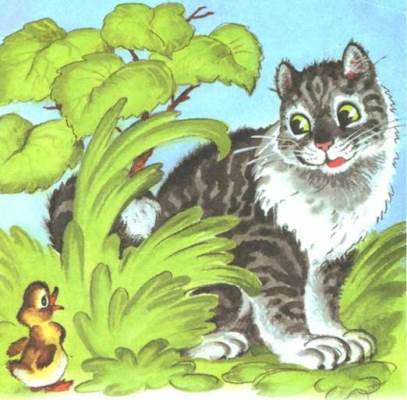 Вдруг навстречу — усатая кошка