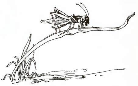 Страшила из Страны Оз. Трот встречает Страшилу