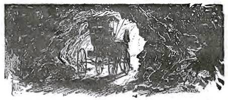 Дороти и Волшебник в Стране Оз В черную дыру и обратно