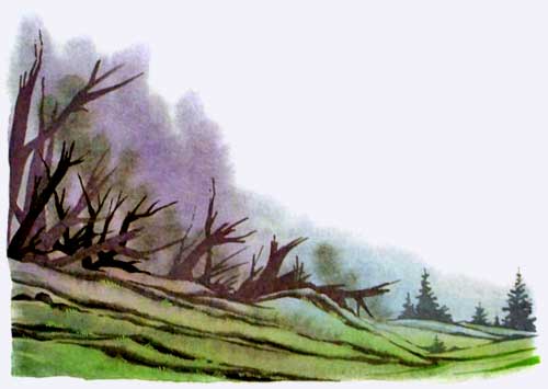 Король Людушка. Секрет заколдованного топора