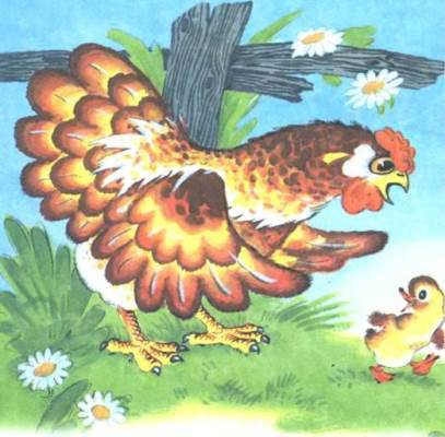 На цыплят они не похожи