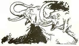 Волшебство Страны Оз. Кики колдует