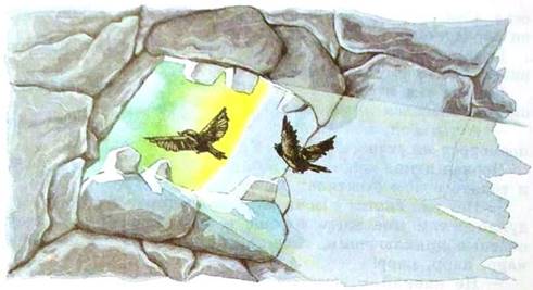 Дочь Гингемы Черный дракон