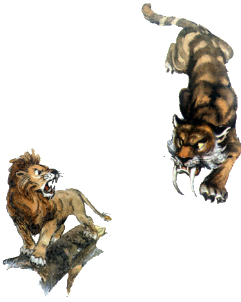 Волшебник Изумрудного города Саблезубые тигры