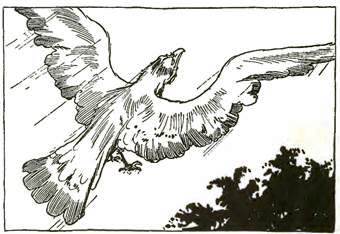 Волшебство Страны Оз Гора Жевунья