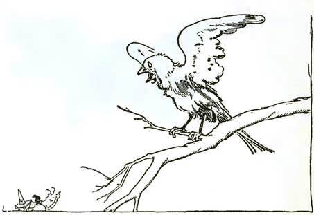 Волшебство Страны Оз. Ястреб