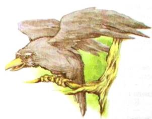 Дочь Гингемы. Заколдованный лес. Бесконечная стена