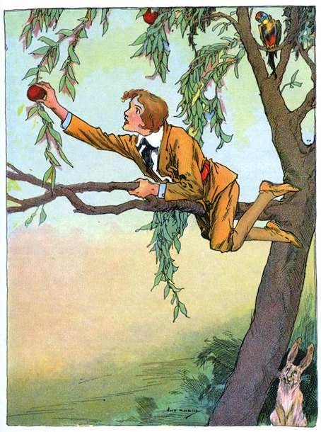 Пропавшая Принцесса Страны Оз. Пуговка потерялся