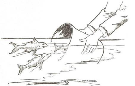 Глинда из Страны Оз. Заколдованные рыбки