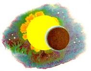 Рыцари Света и Тьмы Рыцари и волшебницы