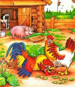 Петушок и бобовое зернышко