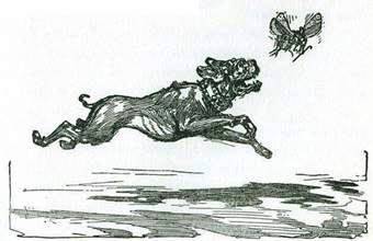 Путешествие в Страну Оз Человек-орган