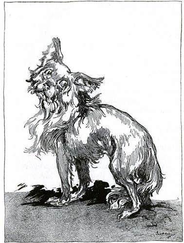 Пропавшая Принцесса Страны Оз. Поиски Озмы