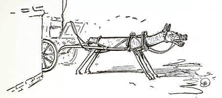 Изумрудный Город Страны Оз. Приключения в Развалибурге