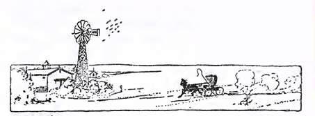 Дороти и Волшебник в Стране Оз. Зеб возвращается на ранчо