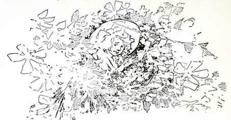 Изумрудный Город Страны Оз. Завтрак в Булочном королевстве