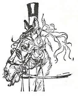 Дороти и Волшебник в Стране Оз Конь Джим