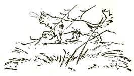 Волшебство Страны Оз. Остров Волшебного цветка