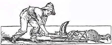 Дороти и Волшебник в Стране Оз. Чудесное избавление