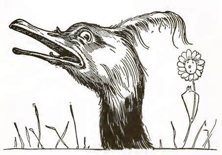 Волшебство Страны Оз. Удивительное путешествие