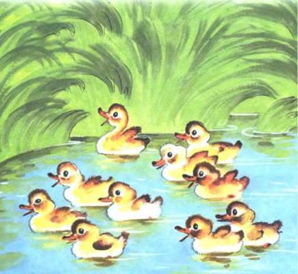 Побежали к воде - и плывут