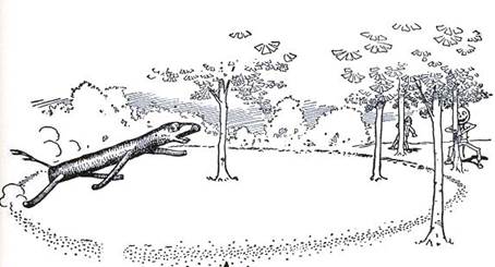 Чудесная Страна Оз. Живые козлы