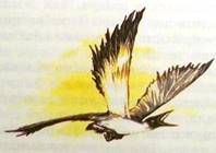 Алхимик Парцелиус Золотой лес