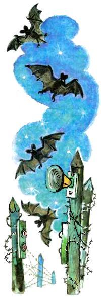 Тайна заброшенного замкаПервая победа Альфреда Каннинга