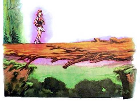 Король Людушка. Я — Тотошка!