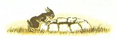 Заяц-победитель