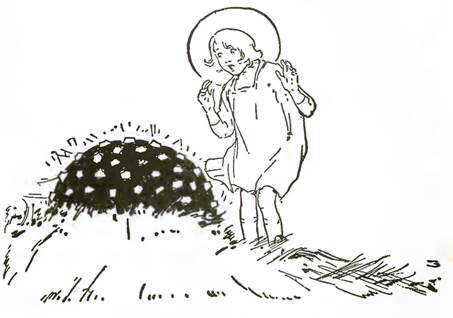 Волшебство Страны Оз. Удивительное путешествие