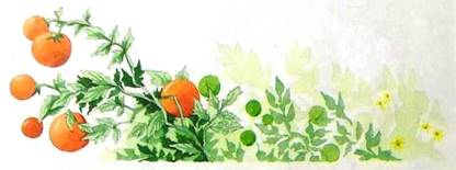 Дочь Гингемы. Ленивая чародейка. Бегство