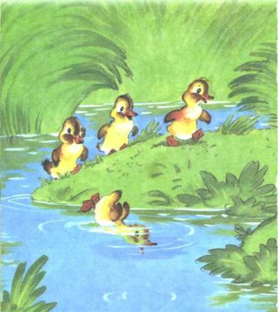 Увидал плавунца — и нырнул