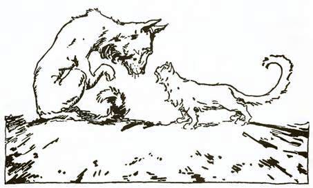 Волшебство Страны Оз. Черный чемоданчик