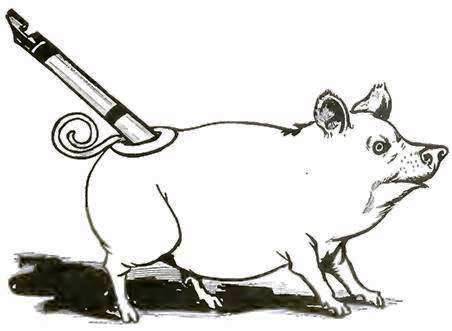 Озма из Страны Оз. Король страны Эв