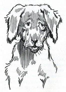 Пропавшая Принцесса Страны Оз Потерянный лай