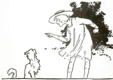 Волшебство Страны Оз. Чудесный уголок