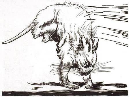 Лоскутушка из Страны Оз. Гигантский Дикобраз