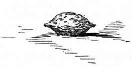 Пропавшая Принцесса Страны Оз Превращение Угу-сапожника