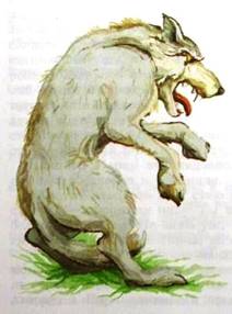 Дочь Гингемы Графиня-колдунья