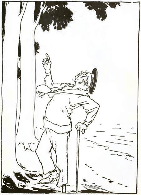 Волшебство Страны Оз. Остров Волшебного цветка