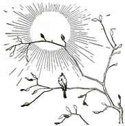 Ринкитинк в Стране Оз Разграбленный остров