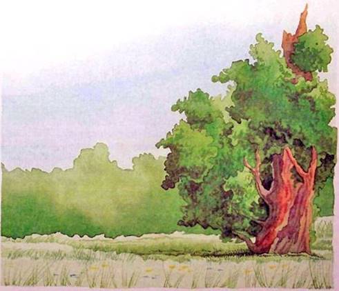 Меч Чародея. Гора Гудвина