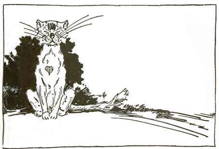 Волшебство Страны Оз. Обезьяний бунт