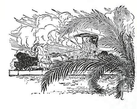 Дороти и Волшебник в Стране Оз Волшебный пояс Озмы