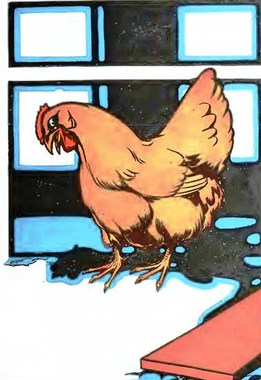 Озма из Страны Оз. Желтая курица